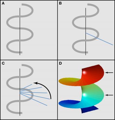 Another Beautiful Helix for Biology