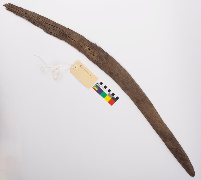 Rare boomerang collection from Cooper Creek (Kinipapa)