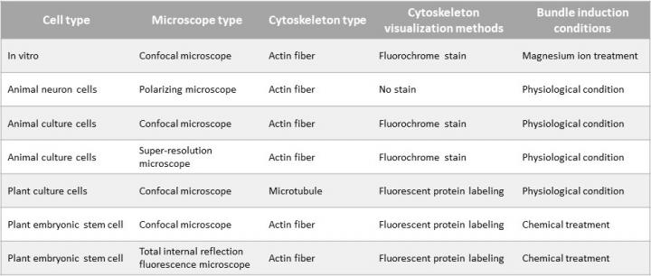 List of microscopic images in which the proposed method was able to detect cytoskeletal bundles