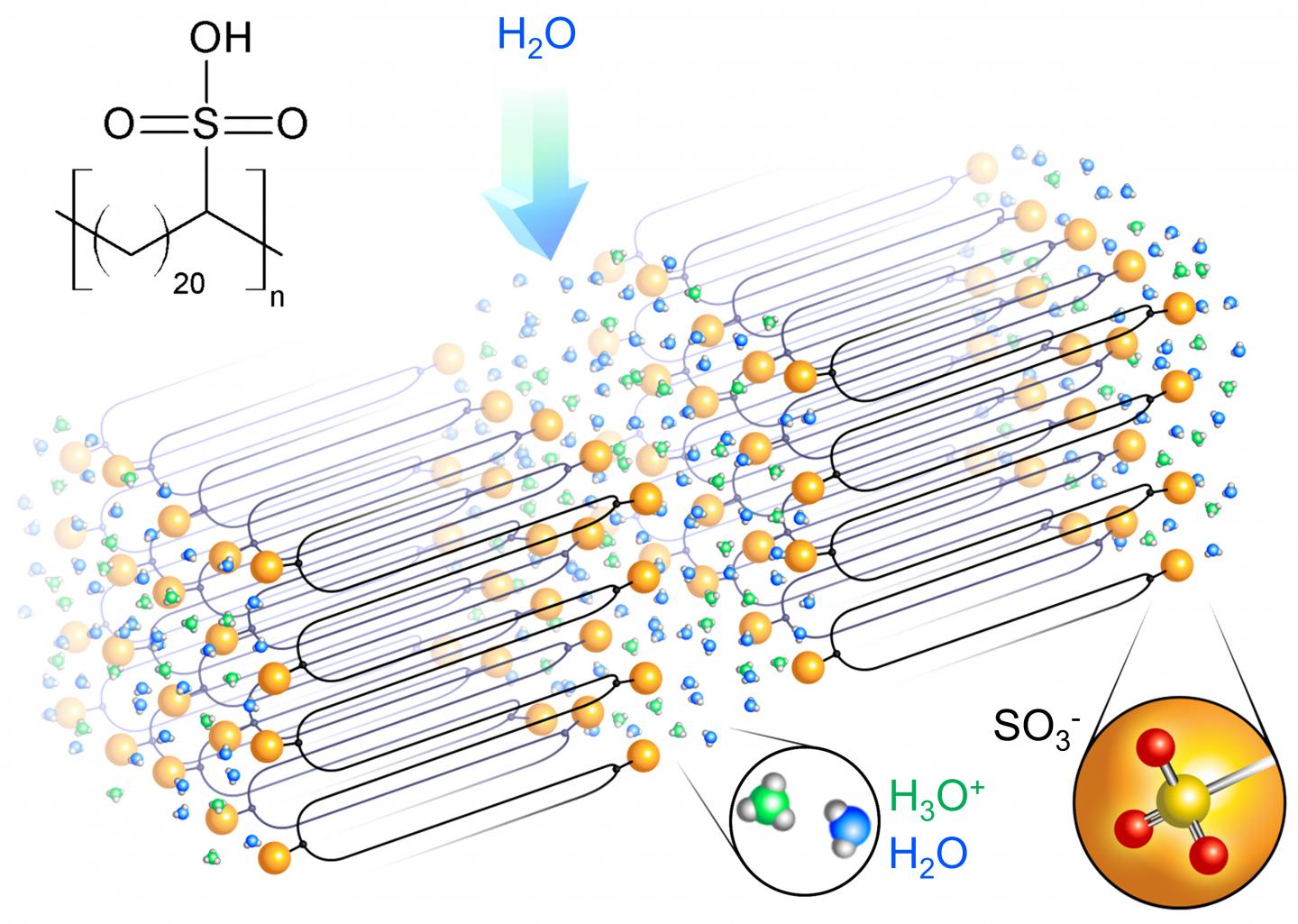 Superhighway Solid Polymer Electrolyte