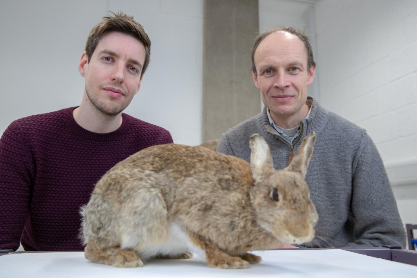 Joel Alves, Francis Jiggins and a Rabbit in the University Museum of Zoology, Cambridge, UK