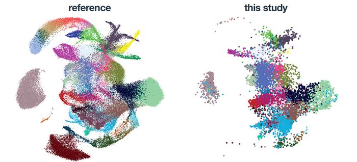 Single cell transcriptome analysis