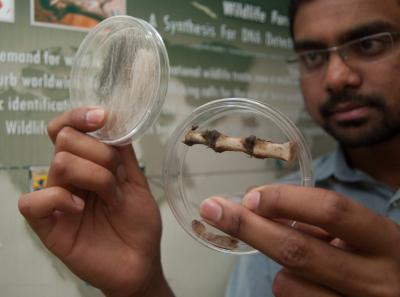 Ashwin Naidu,   	 University of Arizona 