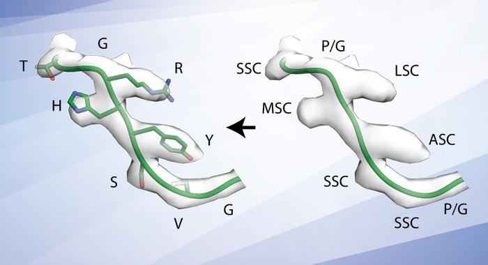 Scripps Research uses cryoEM technology to more quickly identify antibodies for use in vaccine development.