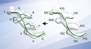 Scripps Research uses cryoEM technology to more quickly identify antibodies for use in vaccine development.