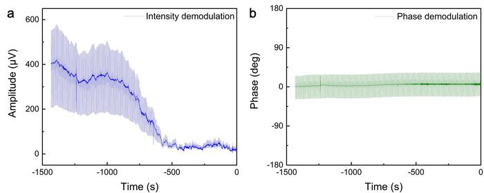 Long-term stability of H-LITES sensor based on FPI.