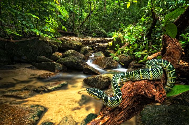 Malaysian Biodiversity