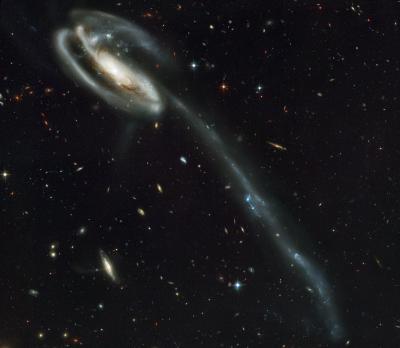 Optical Image of the 'Tadpole' Galaxy, an Interacting Galaxy
