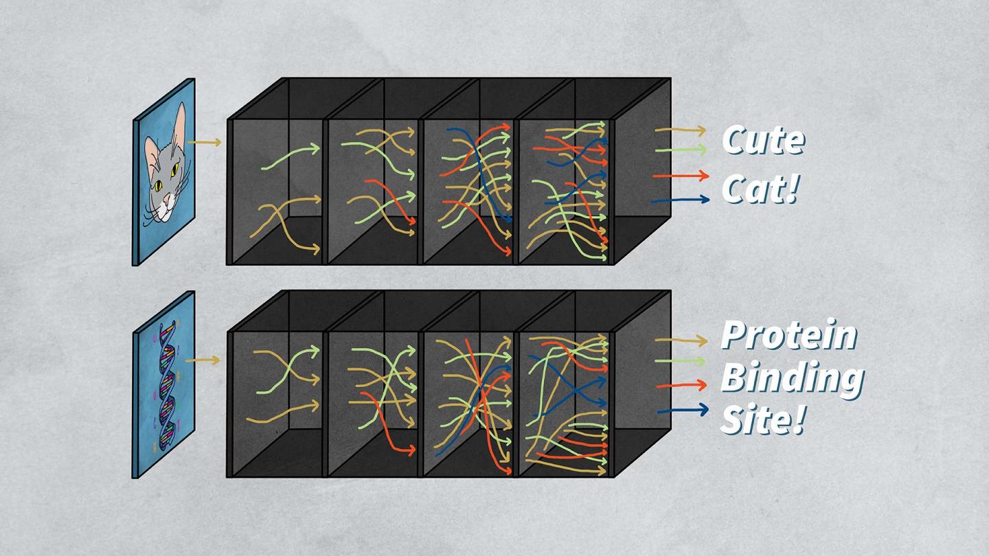 Illustration of brain-like neural networks