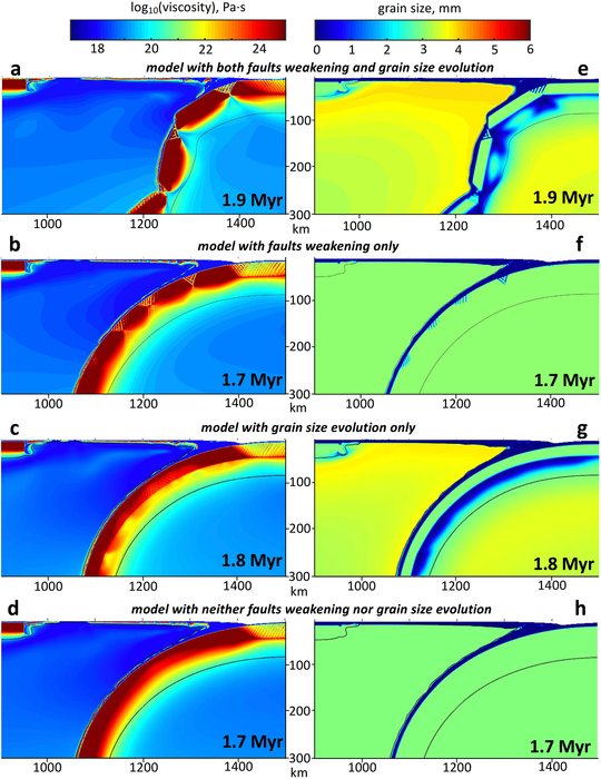 Influence of faults weakening and grain size evolution on subduction dynamics