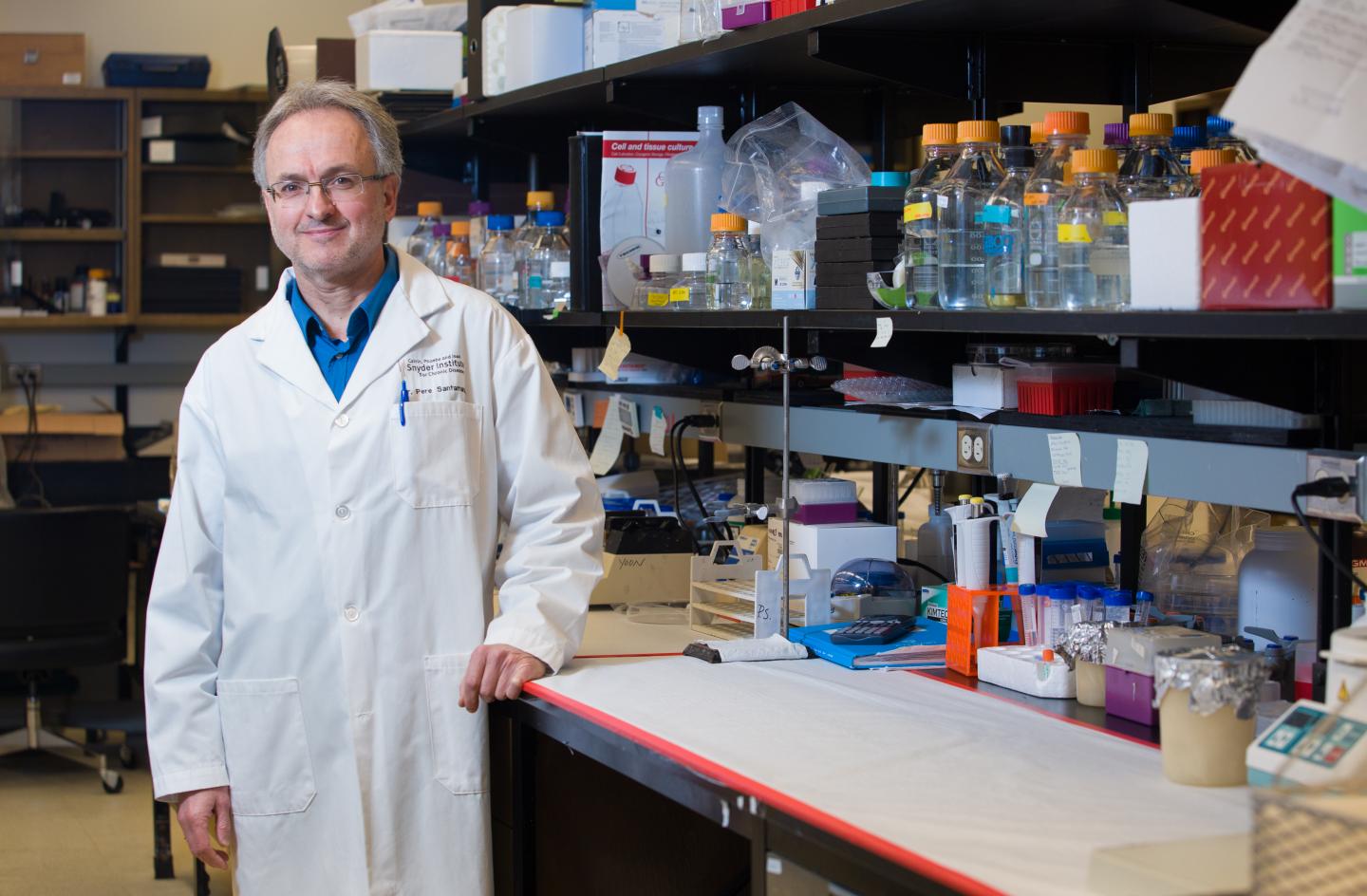 Dr. Pere Santamaria, University of Calgary 