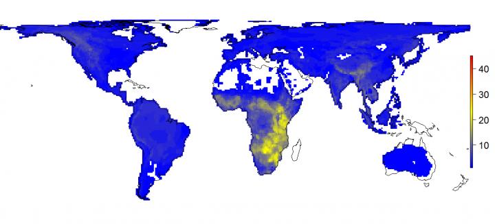 The Current Diversity of Large Mammals