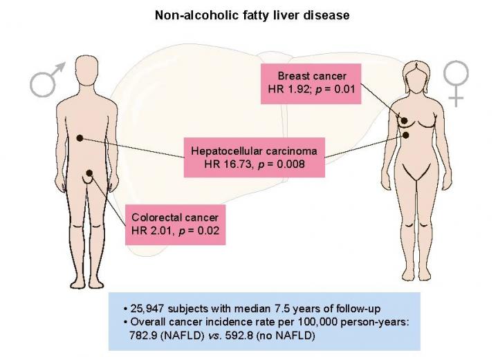 Nonalcoholic Fatty Liver Disease Increases Risk of Liver, Colorectal, and Breast Cancers