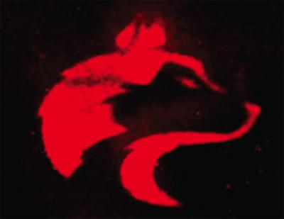 BiofunctionalPaperHusky