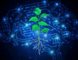 Plant computer illustration