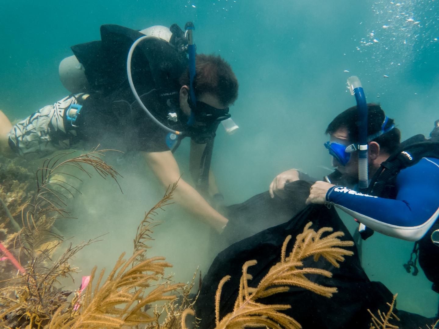 Mattheiu Leray, Smithsonian Tropical Research Institute