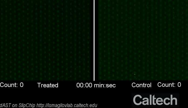 Antibiotic Susceptibility Testing In 30 Minut 