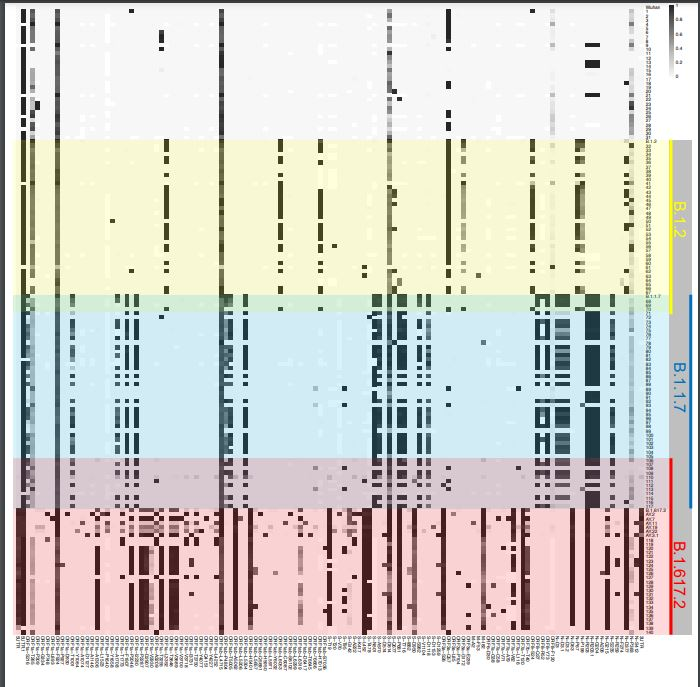 Whole genome sequencing of 140 COVID samples from infected individuals between April 2020 and August 2021