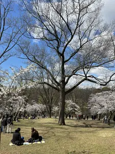 The great urban shift: Climate change is predicted to drive mass species turnover in cities