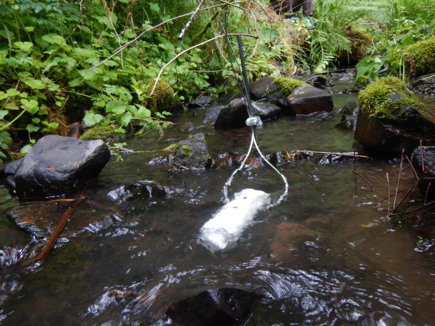 Monitoring Stream Temperature