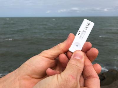 Lateral Flow Assay Example