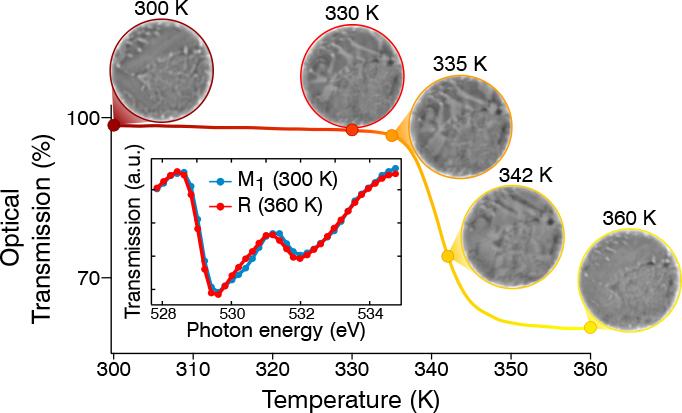 Phase Transition from Insulator to Metallic Phase in VO2 as a Function of the Temperature