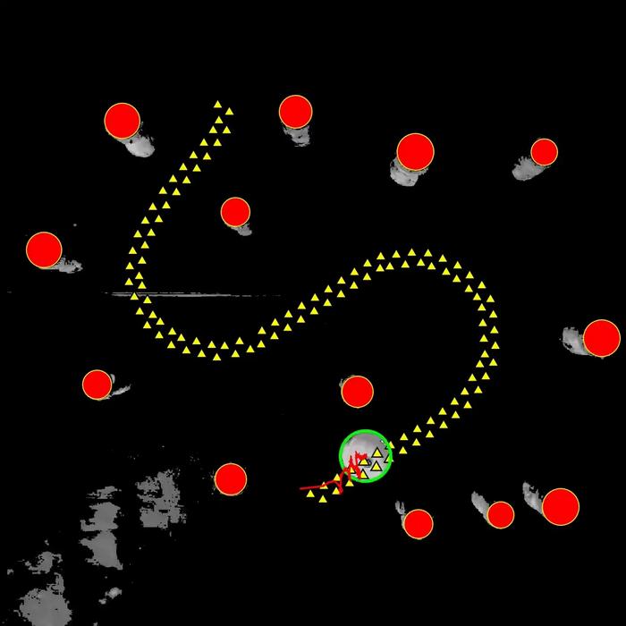 Moving an object with soundwaves despite disorder