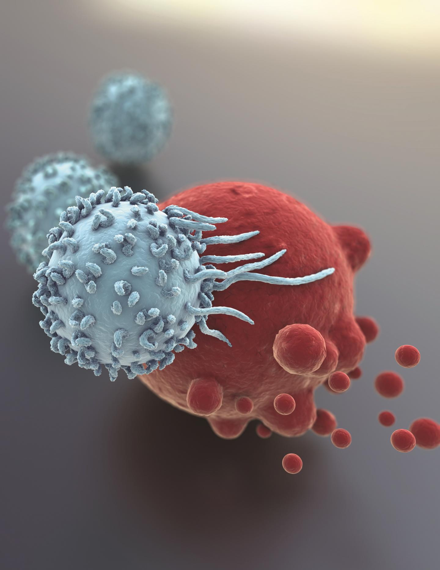 A Stylized image of a T Cell Attacking a Tumor