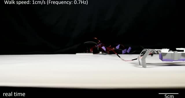 Thanks to 'Flexoskeletons,' These Insect-Inspired Robots Are Faster and Cheaper to Make
