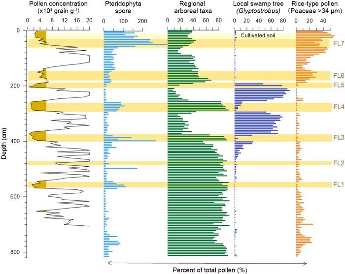 Pollen diagram and flood events from study site BS01.