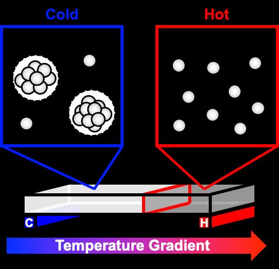 Phase Separation Experiment