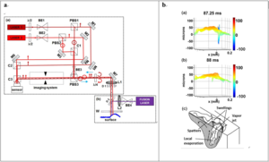 Melt pool topography obtained with two-wavelength holographic imaging