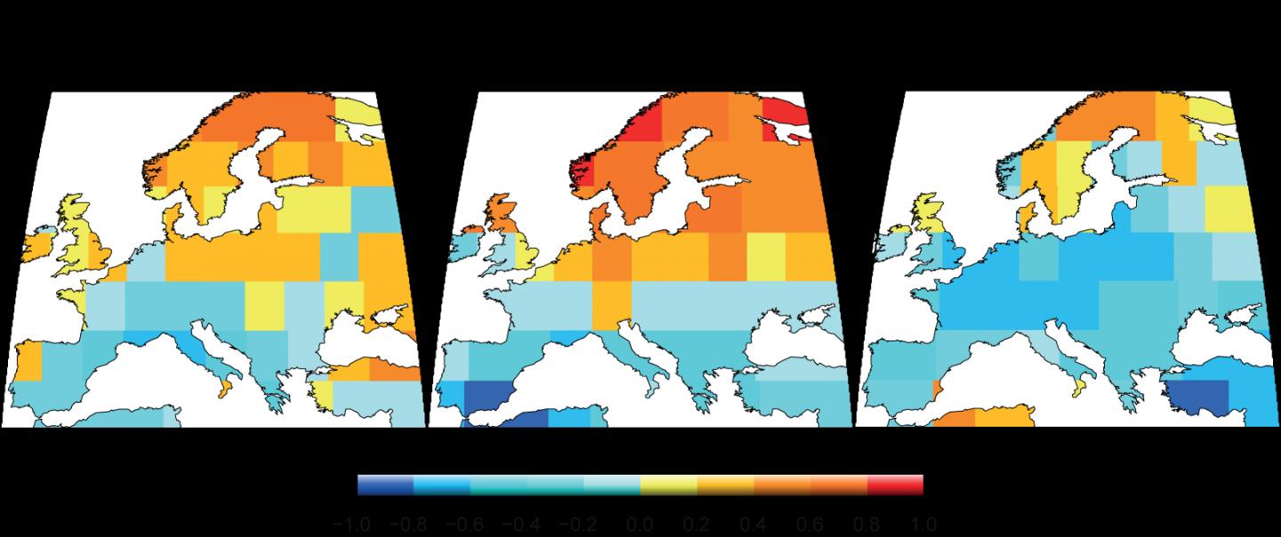 Decadal Correlation