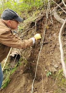 Lead Soils in Public Parks 3