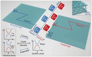 Figure 1. Schematic view of the flexible multiplexing chip.