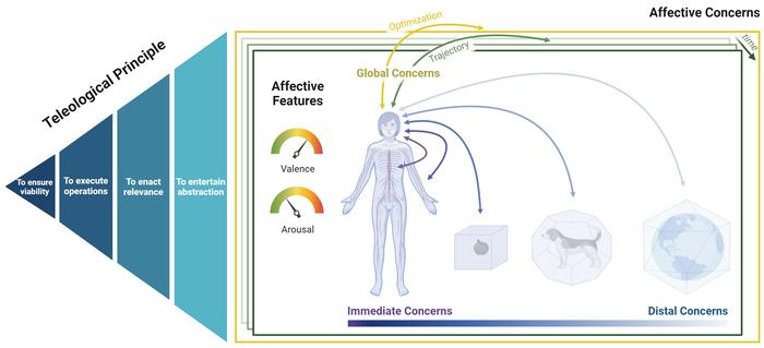 Human Affectome