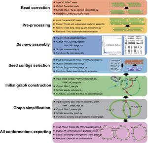 Automatic workflows of the plant mitogenome assembly toolkit.