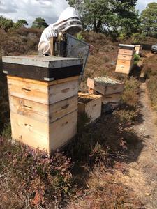 Bee farming