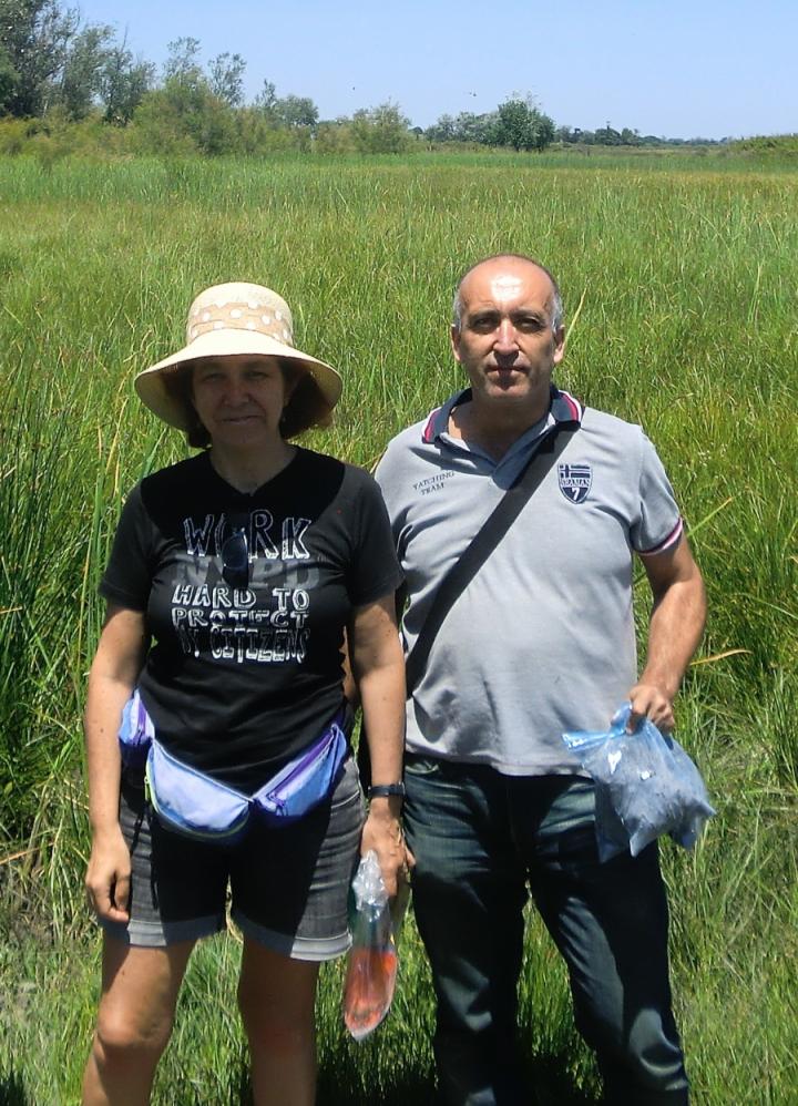 Researchers Collecting Samples