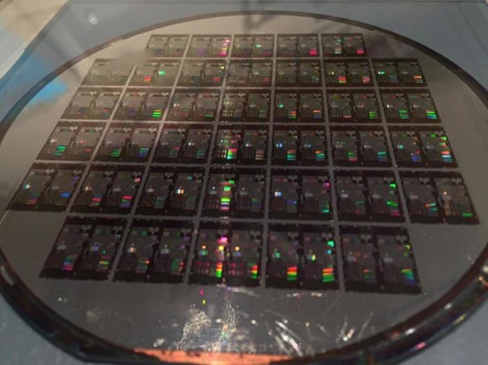 A silicon wafer chip