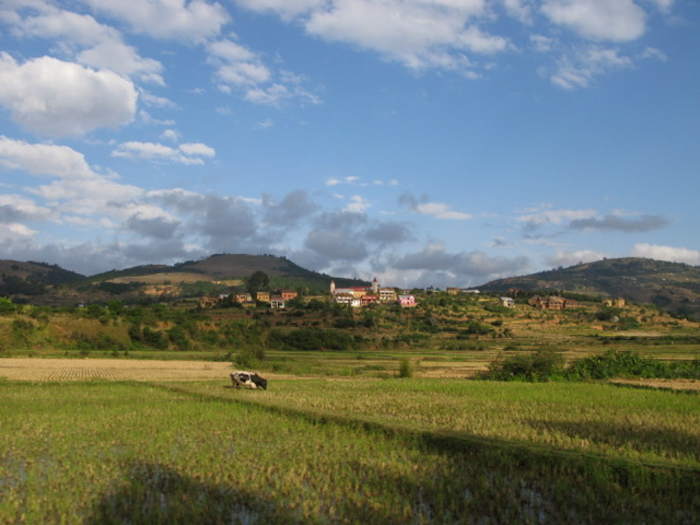 Current anthropized landscape of Madagascar