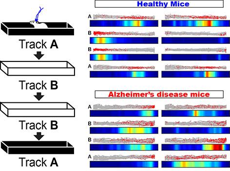 Remapping of Place Cells