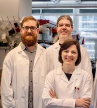 Peter Peneder, MSc, Adrian Stuetz, PhD, and Eleni Tomazou, PhD, develop a liquid biopsy analysis