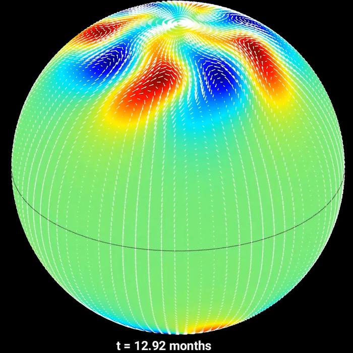 Simulation of solar polar vortices