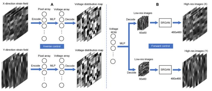 Machine learning architecture