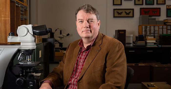 Entomology Professor Stephen Cameron