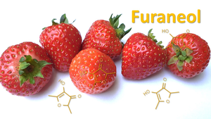 The odorant furaneol gives strawberries and other foods a caramel-like aroma.