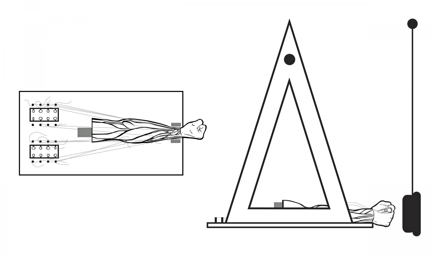 Apparatus Used for Study of Punching and Slapping
