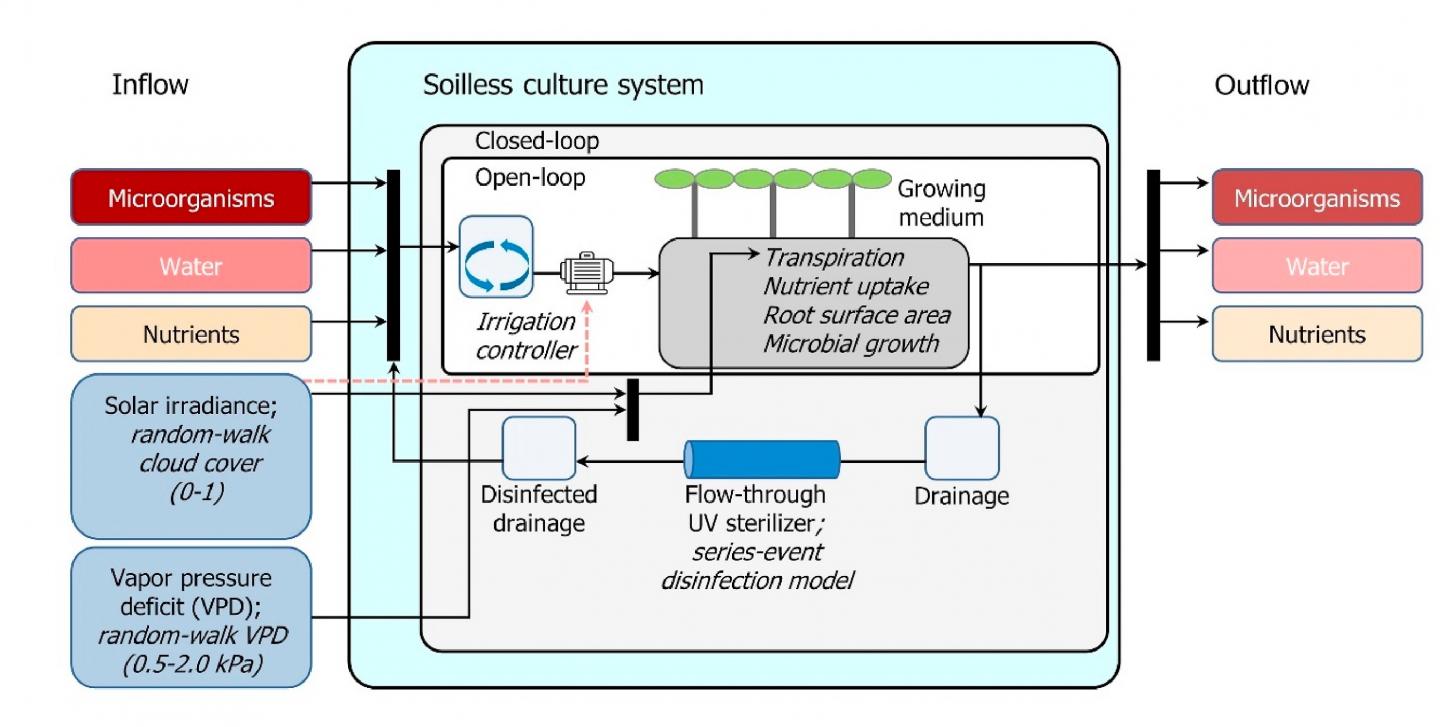 Overview of the Theoretical and Experimental Analysis Setup