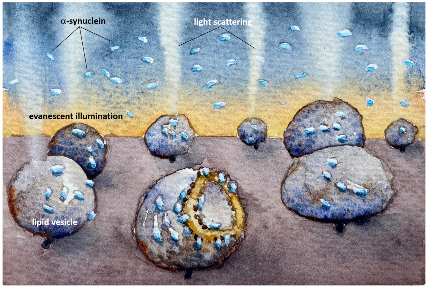 A Watercolor Illustration of the New Method, by the Researcher Fredrik Höök